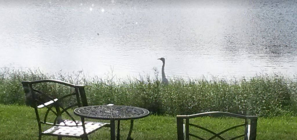 Catch-and-Release Pond at 3 Seasons